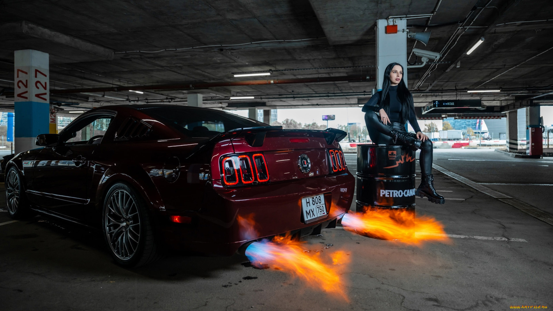 ����������, -���� � ���������, mustang